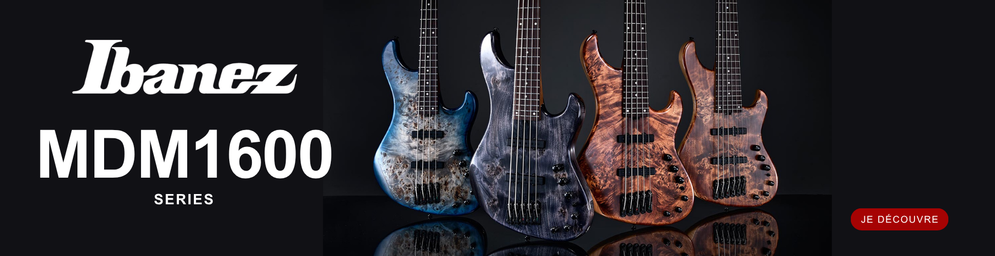 Découvrez la nouvelle gamme Ibanez !